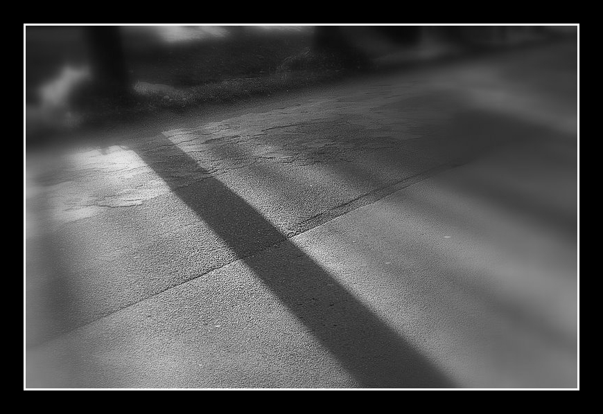 Shadow