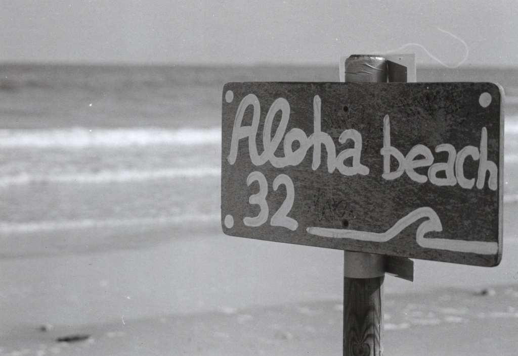 bagno aloha beach 32