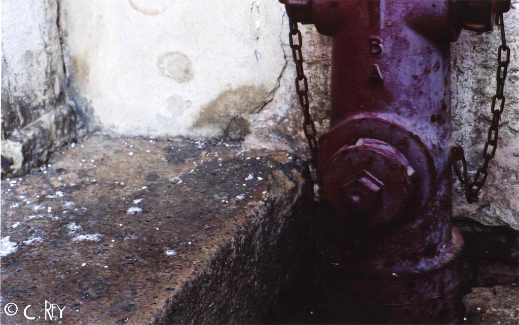 dimmi che non vuoi morire!