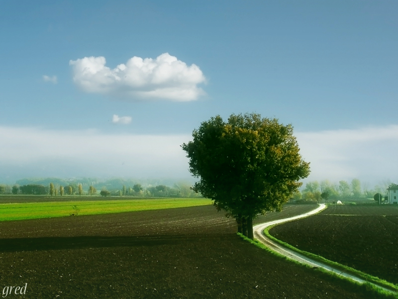 Sentiero del mattino