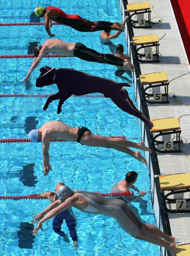 la sua prima competizione, sono cos� fiero di lui!!!