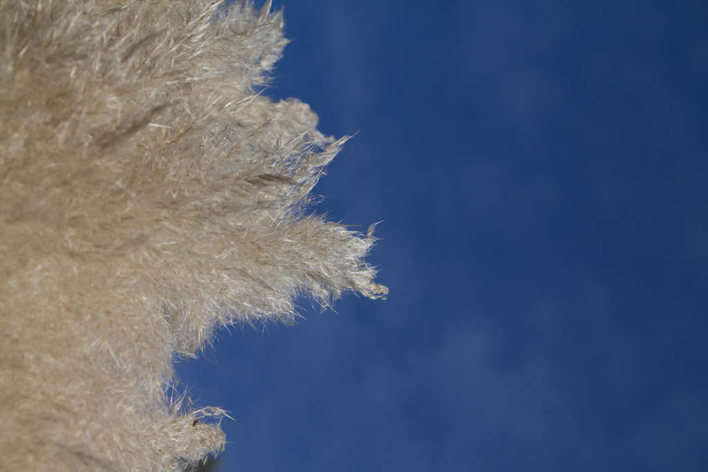 Test Canon EOS 60D (1)