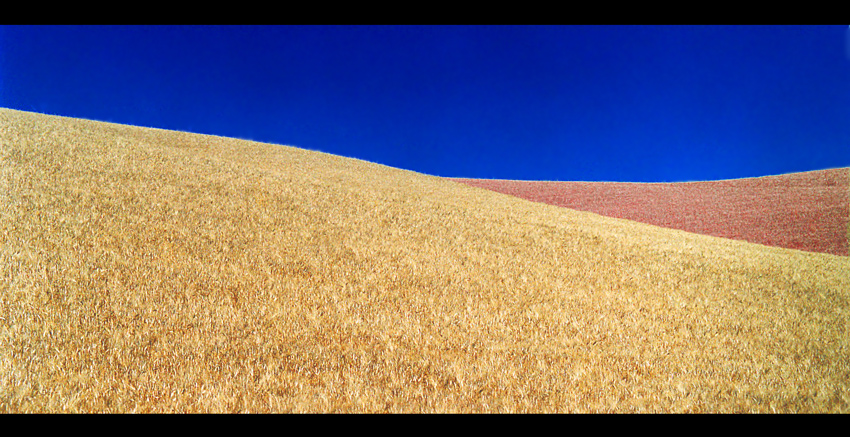 Che Fontana mi perdoni...