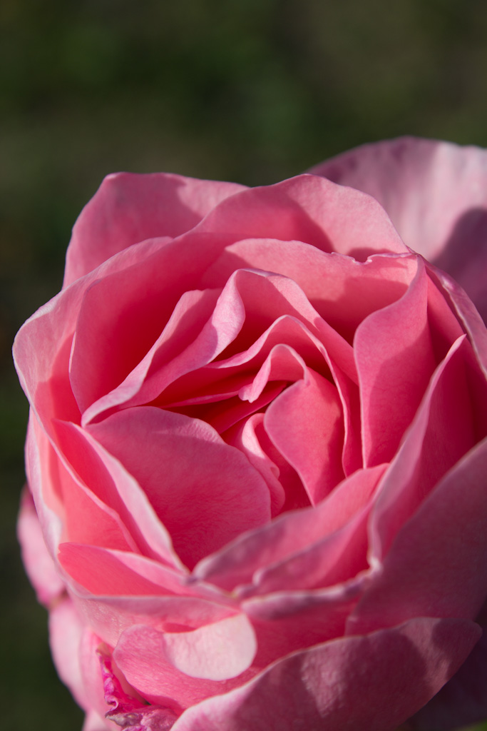 Test Canon EOS 60D (6)