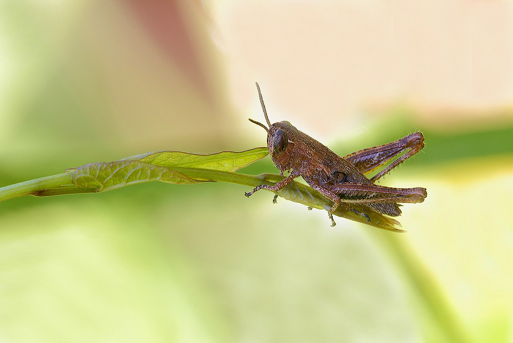 ...Tra La Nebbia...!!!