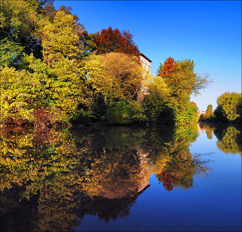 Autumn reflections
