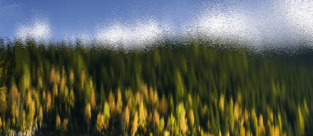 mi fido dell'aria e del colore