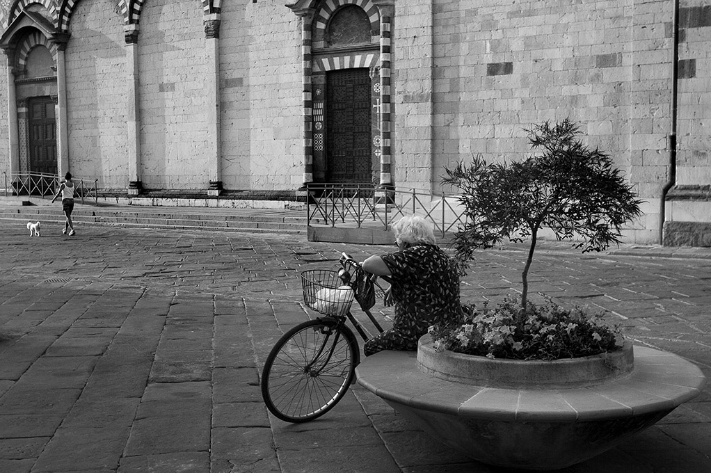 La vita che va..... .........