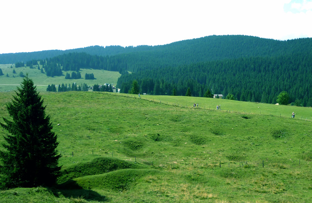 77  IL SILENZIO.....VERDE....