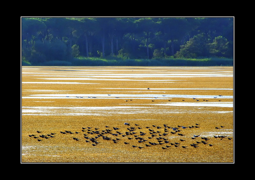 Pronti al decollo....