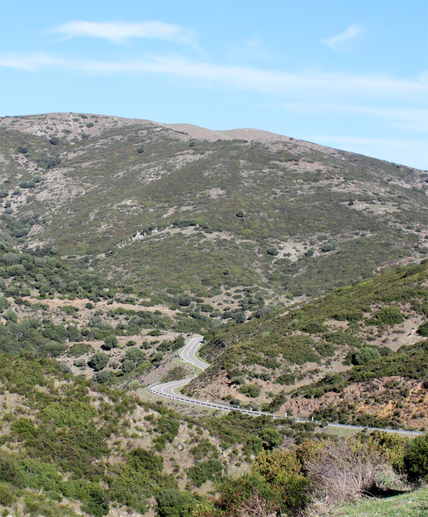 ...un segno di civilt�