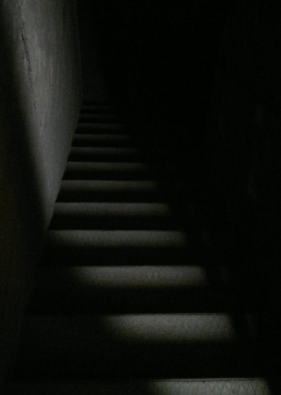 Gi� in cantina (nokia N8)