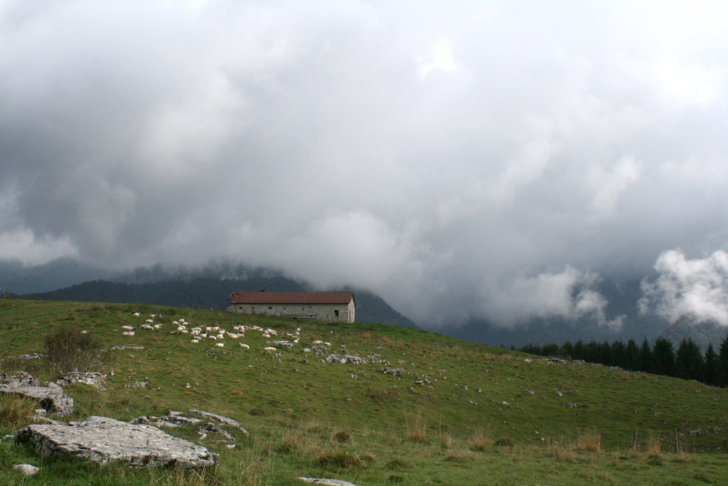 Sotto il cielo coperto di nuvole