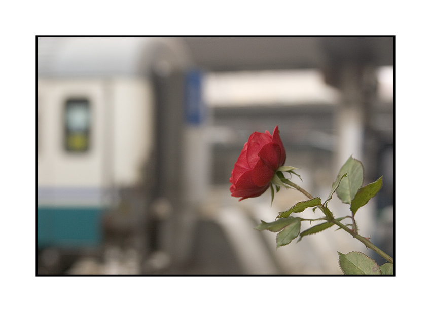 Malinconica partenza