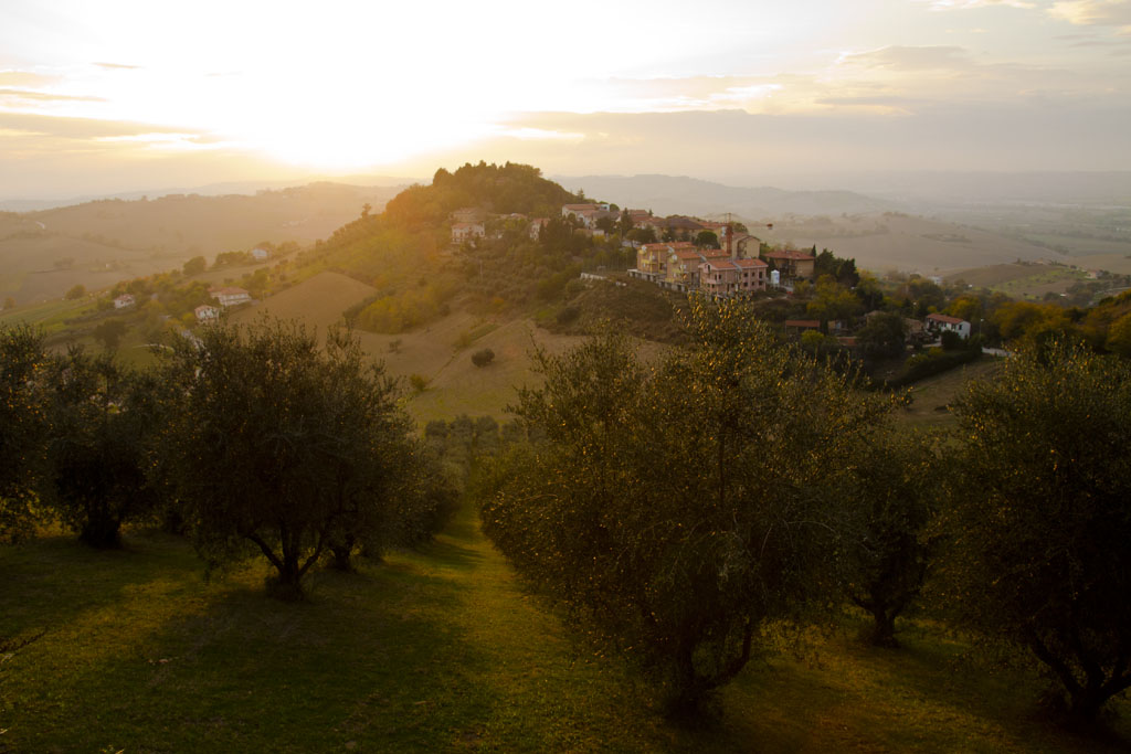 Dalle parti di Montelupone