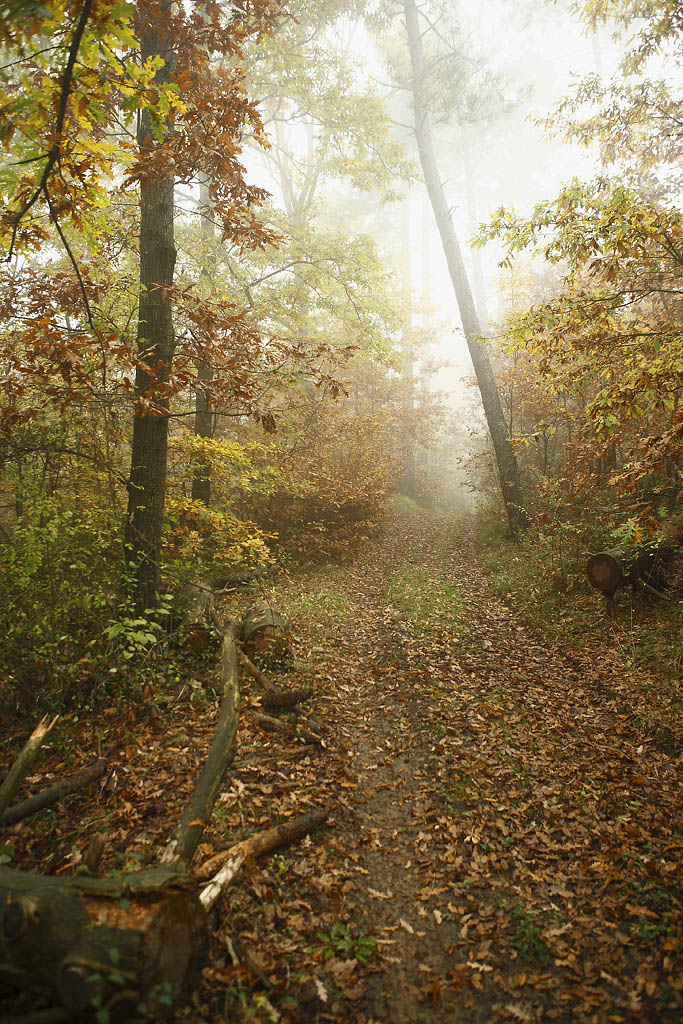 autunno 2010