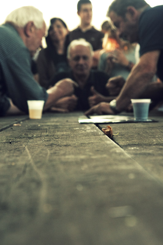 Morra alla fiera dei cavalli...