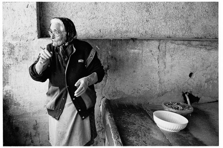 02 coccodrillo (ri) 2010 - kodak tri-x 400