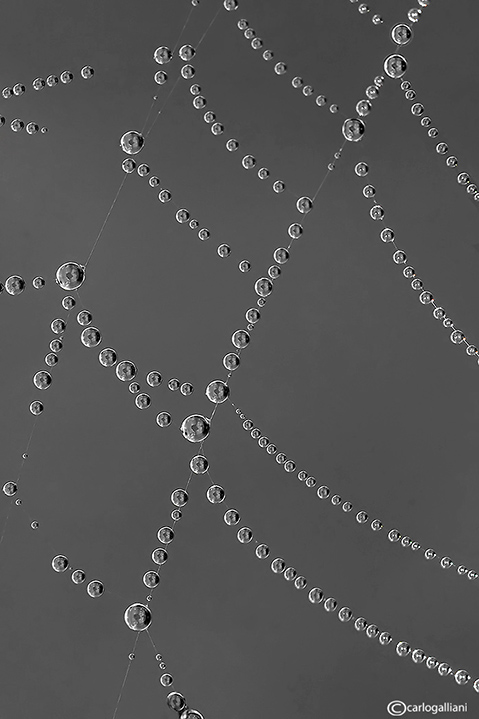 Il gioco delle perle di vetro