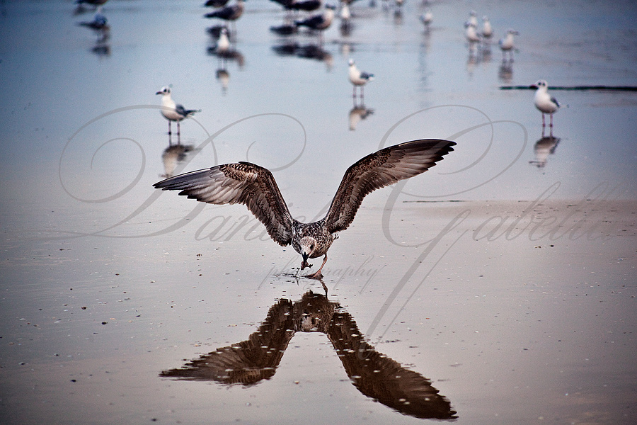 Garibaldi e l'esercito dei 1000