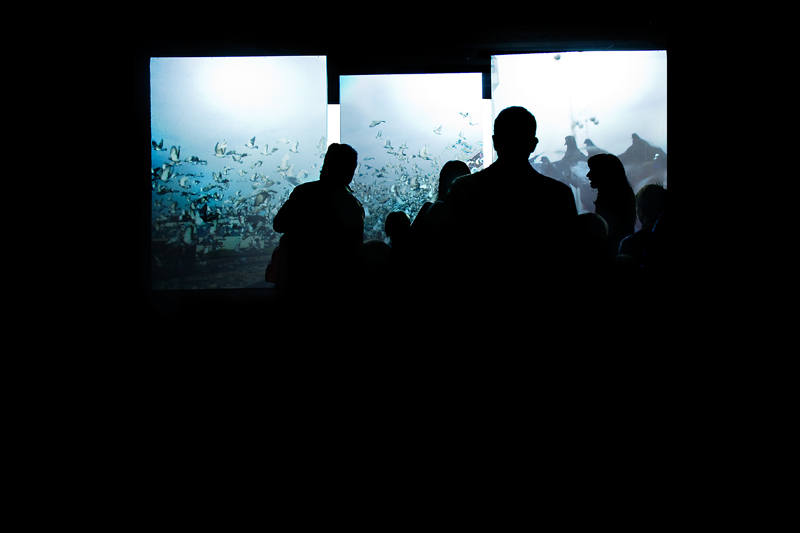 Sognando un altro mondo 2.