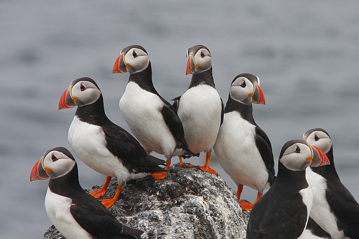 FOTO DI GRUPPO.........