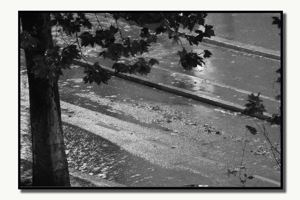 ...dalla mia finestra...la pioggia...