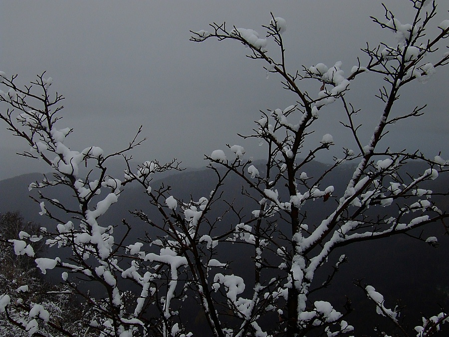 E' arrivato l'inverno