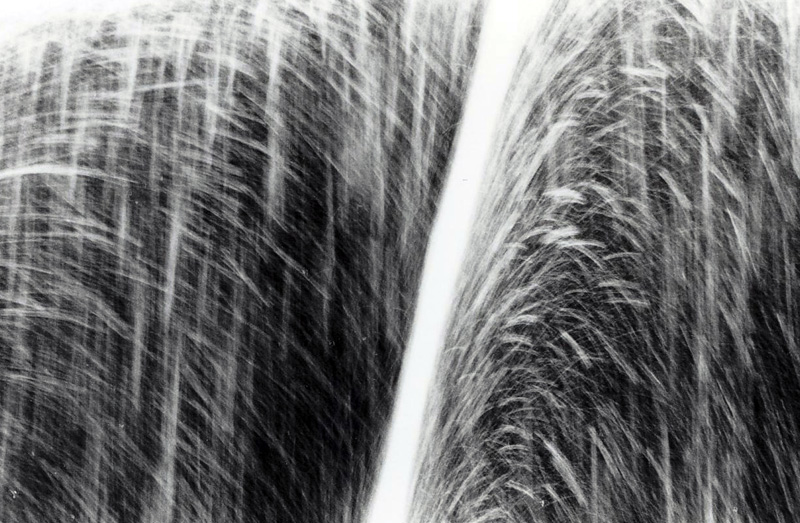 (1) fontana di p.zza De Ferrari - Genova (posa lunga)