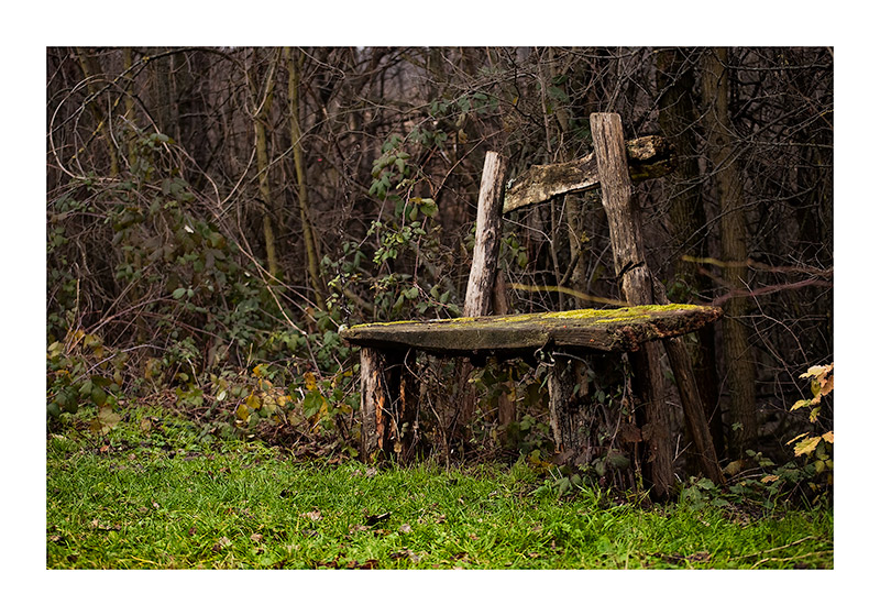 la panchina dell' elfo