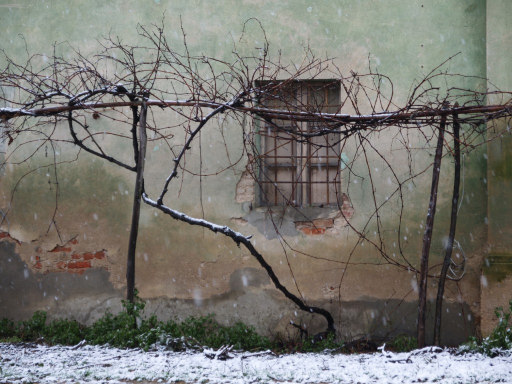 nevica in cascina.....