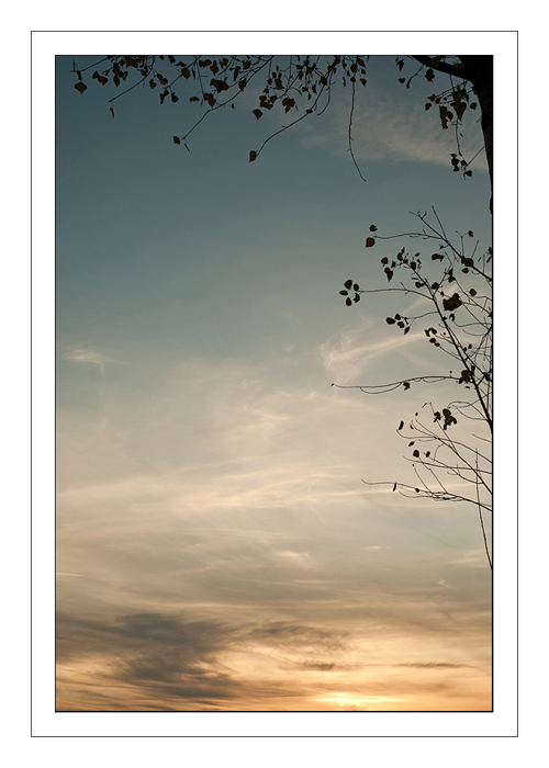 Altri segni e comparse..