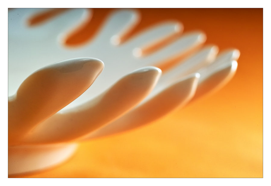 Particolare su fondo colorato