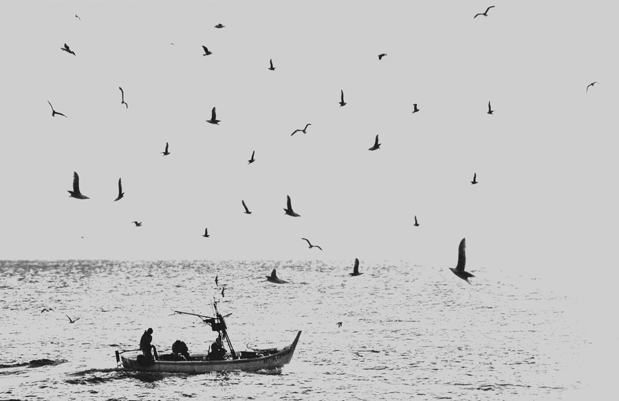 al ritorno........il volo