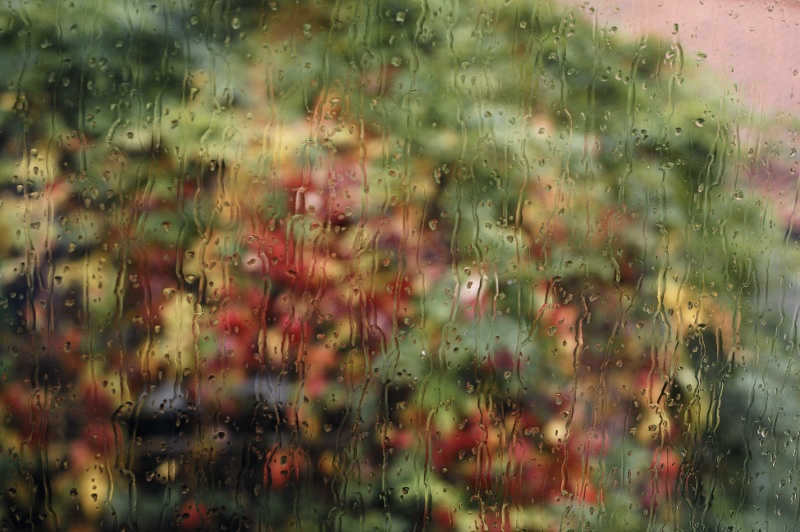 L'autunno dietro al vetro