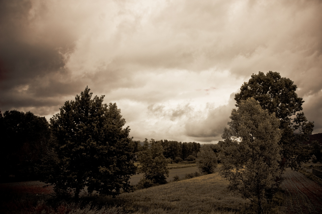 proprio dietro casa...