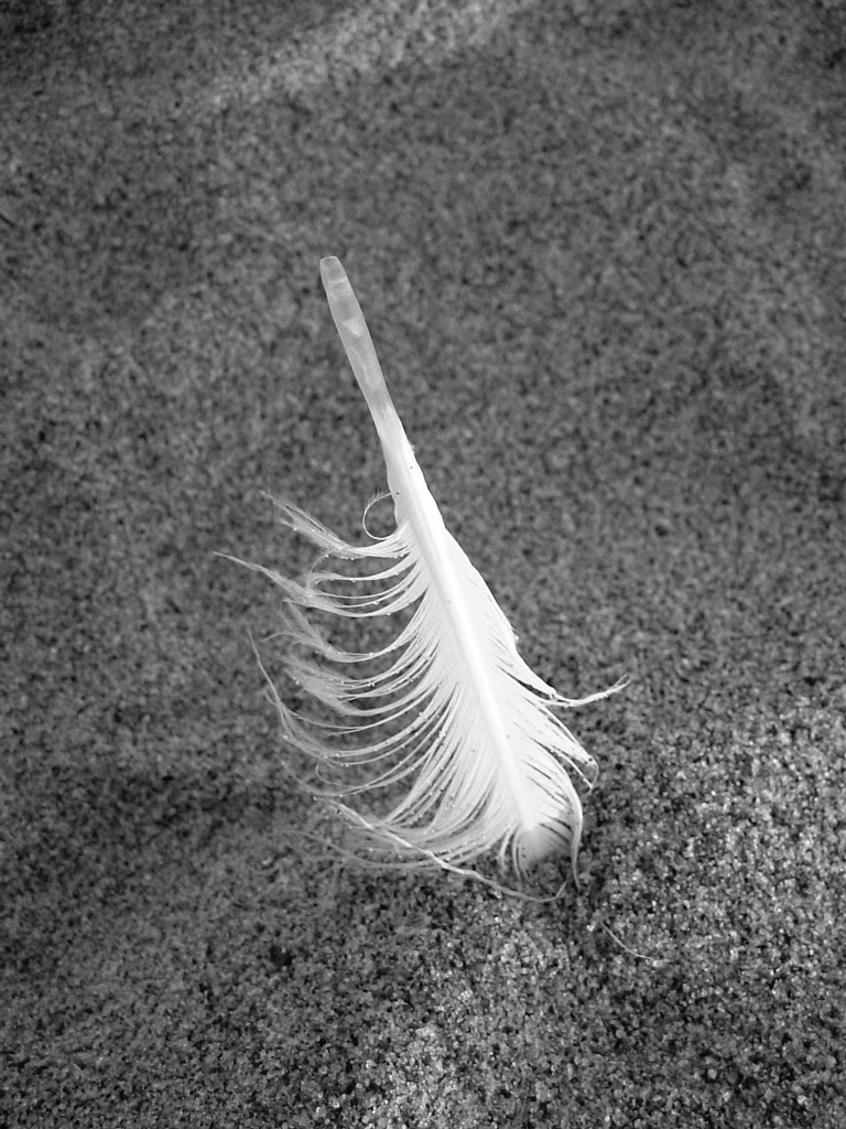 perdita di leggerezza