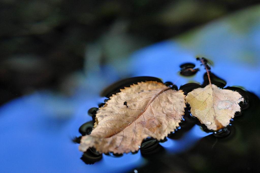 galleggiando nel blu