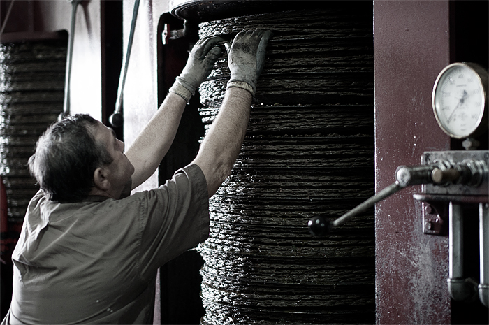 un giorno al frantoio