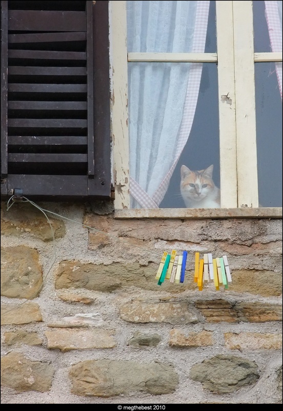 fuori dalla finestra..