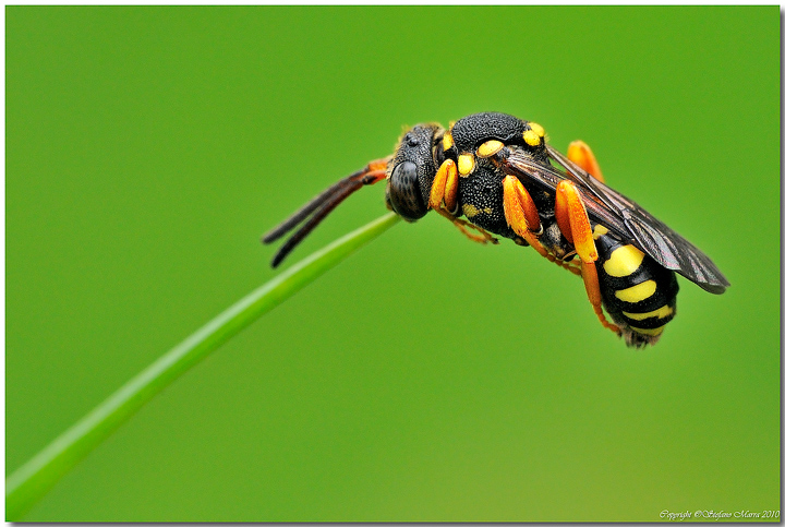 Appesa ad un filo 3� ultima foto