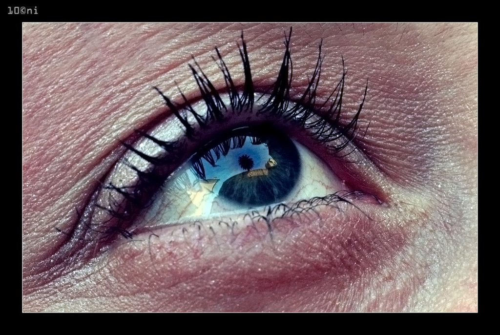 Ho una palma nell'occhio