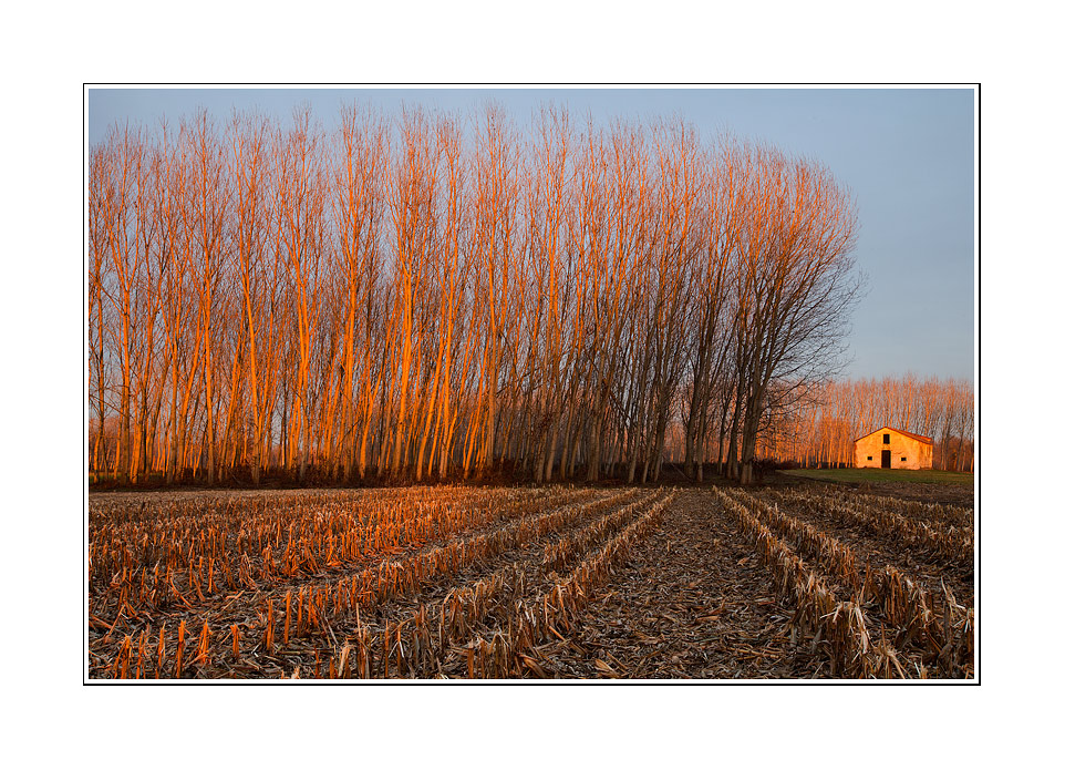 La casa delle boschine II