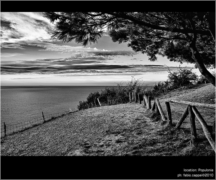 :: Populonia ...[01-41]