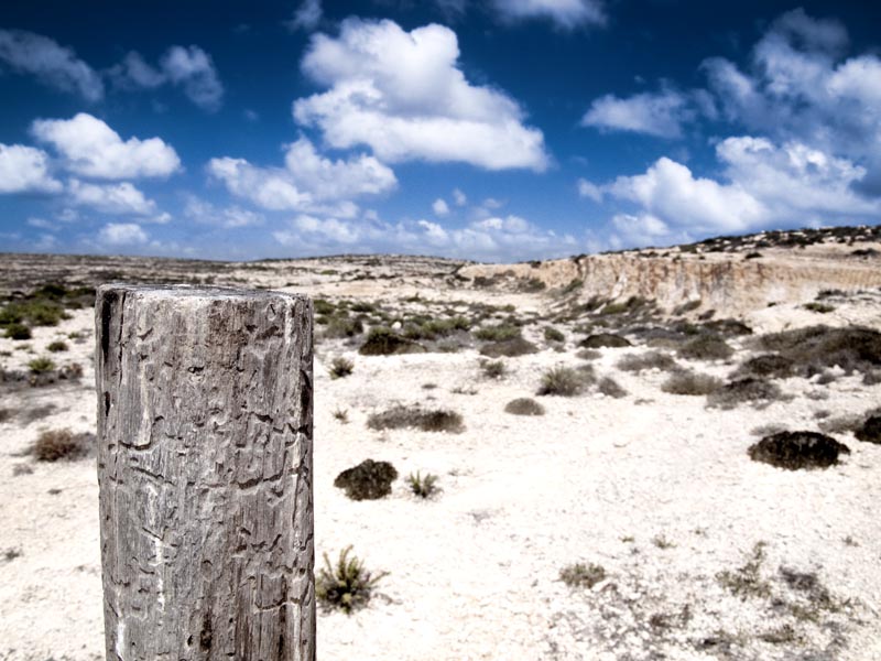 Deserto lampedusano