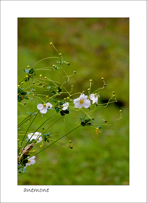 poco prima del gelo....