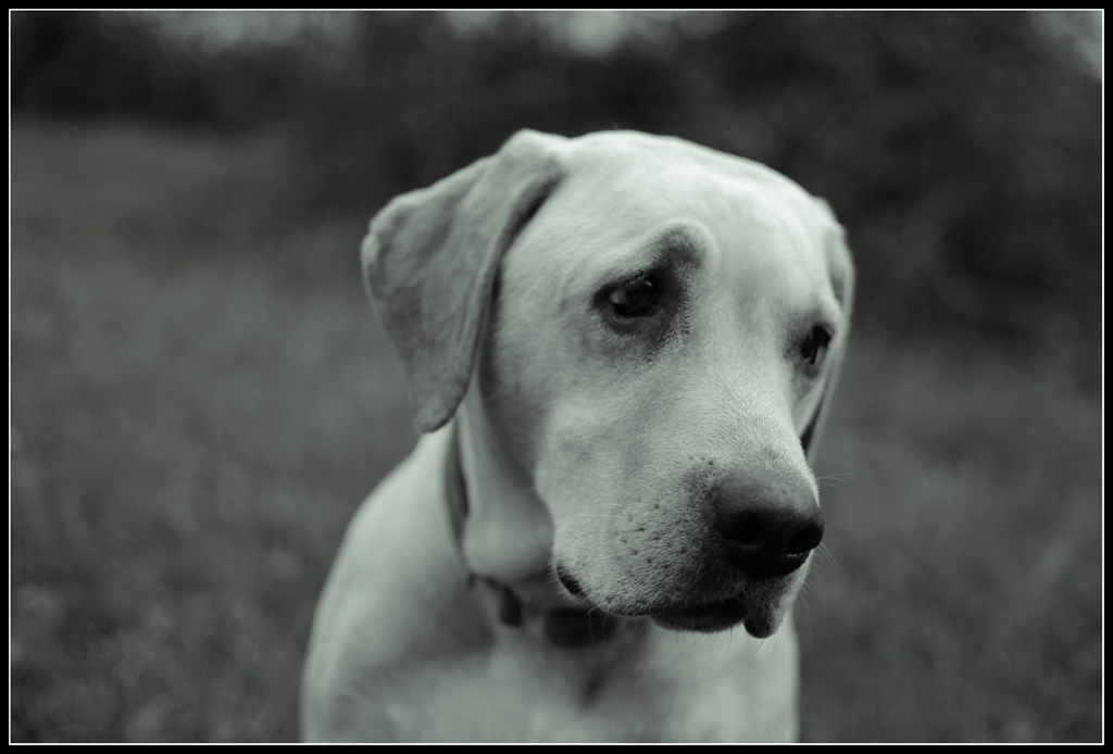 Daisy:...basta con le foto...