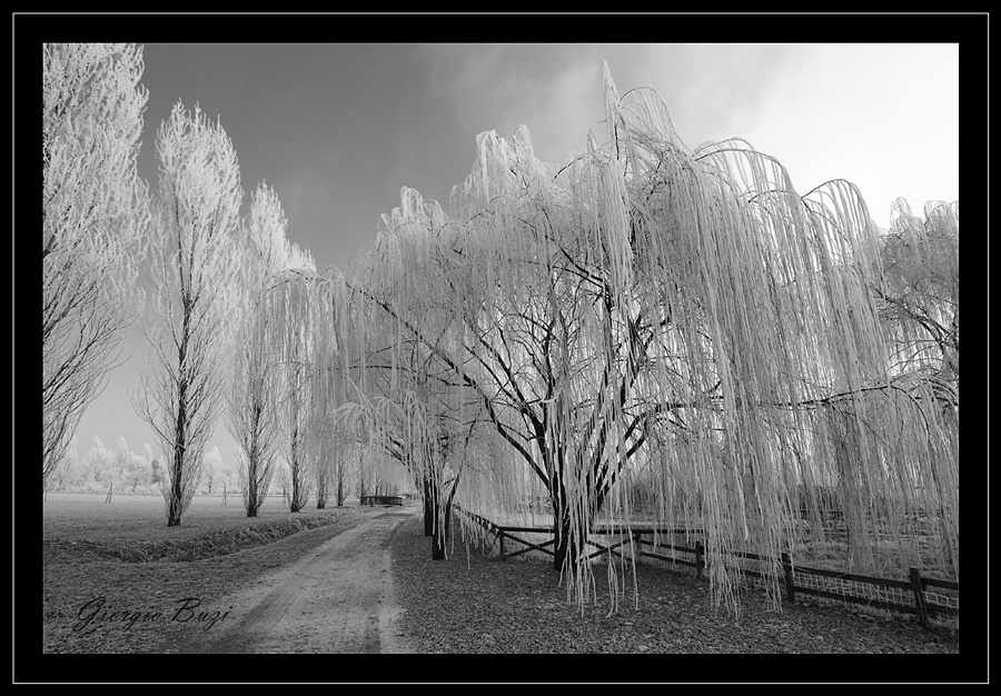 E' arrivato il freddo...