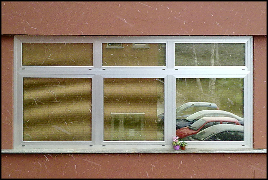 Finestra sull'inverno