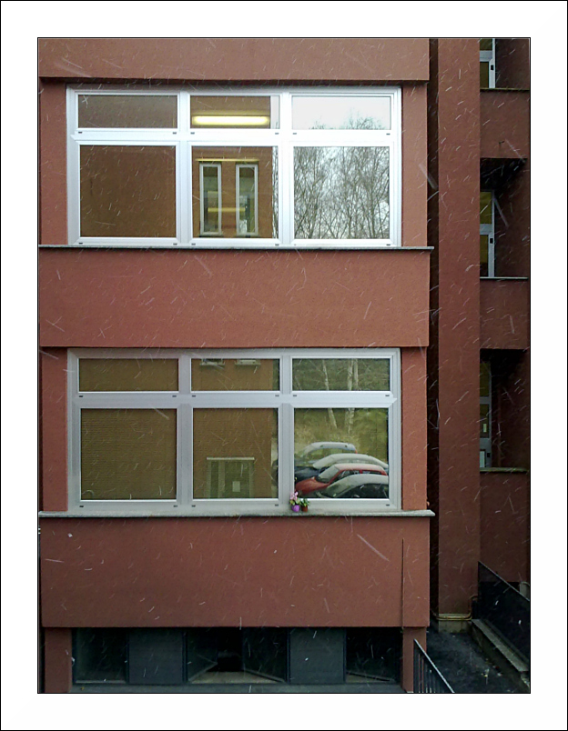 Finestre sull'inverno - 3